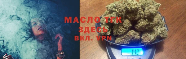 прущие грибы Каменск-Шахтинский