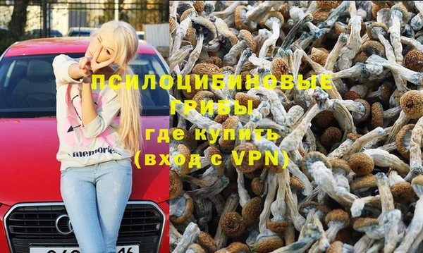 spice Абаза