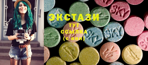 стаф Каменка