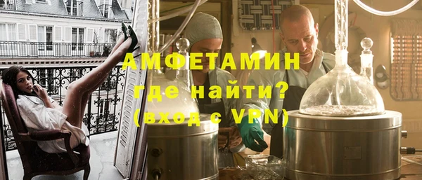 стаф Каменка