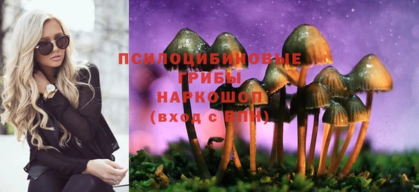 spice Абаза