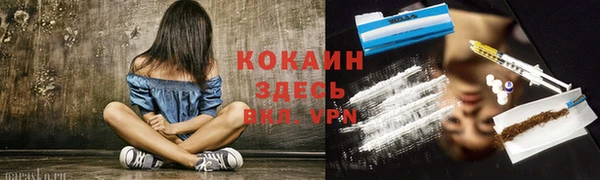 spice Абаза