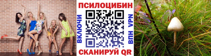 Псилоцибиновые грибы ЛСД Райчихинск
