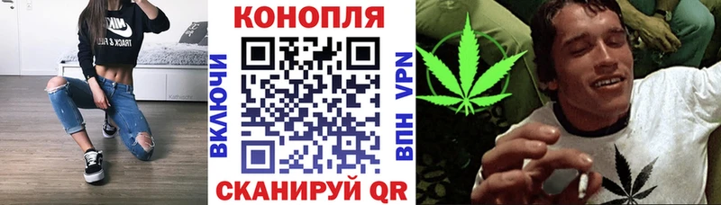 Канабис MAZAR  мориарти наркотические препараты  Райчихинск  закладки 